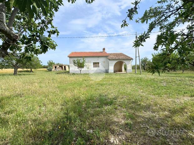 TER. AGRICOLO A LUCERA