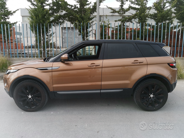 Evoque limited