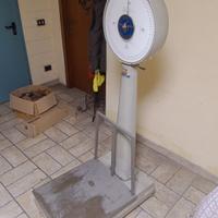 Bilancia professionale