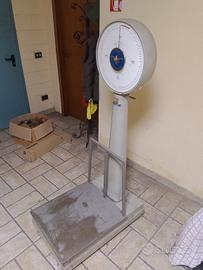 Bilancia professionale