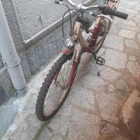 Raleigh mountain bike 24  MTB 8 12 anni