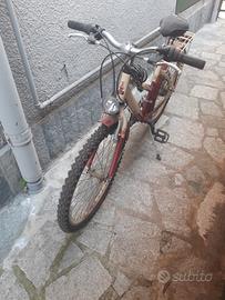 Raleigh mountain bike 24  MTB 8 12 anni