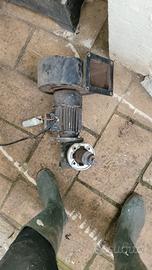 motore caldaia a nocciolino