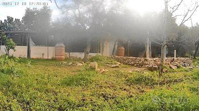 Trinciatura terreni zona Modugno