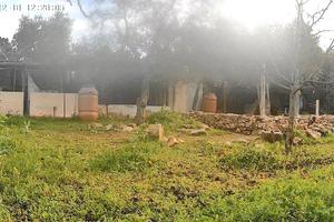 Trinciatura terreni zona Modugno