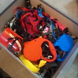 guinzagli x gatti e cani di mezza taglia