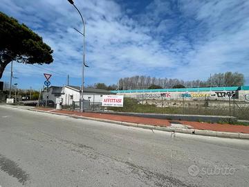 Terreno - Montesilvano (Centro) - 1 000 €/mese