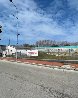 Terreno - Montesilvano (Centro) - 1 000 €/mese