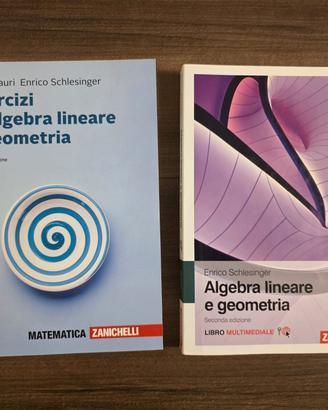 Algebra lineare e geometria 