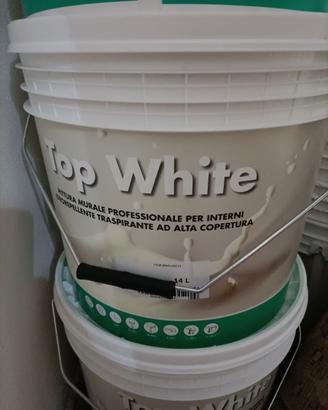 6 SECCHI 14 L. PITTURA BIANCO TRASPIRANTE NUOVI