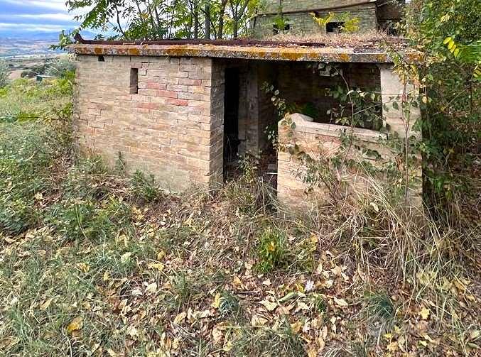 CASA COLONICA con TERRENO E ANNESSO AGRICOLO - Vista 3