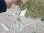 Immagine 2