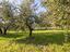 Immagine 14