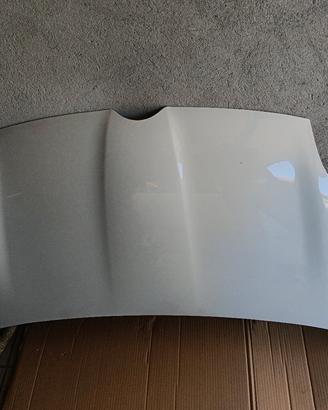 cofano anteriore new panda 312