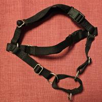 pettorina easy walk cane