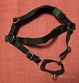 pettorina easy walk cane