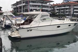 Fiart aster 31
