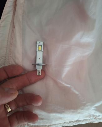 lampadine led H1