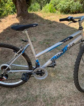 Mountainbike Bottecchia FX 500