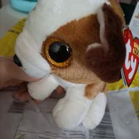 peluche 