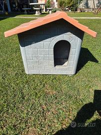 casetta cane