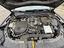 Immagine 15