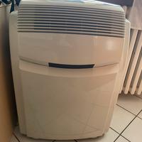 Condizionatore pinguino De Longhi