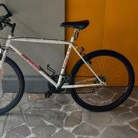 Bici Nevada