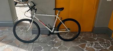 Bici Nevada