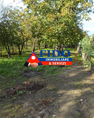 Terreno agricolo di 1.000 mq con casotto