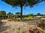 Immagine 26