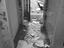 Immagine 12