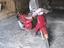Immagine 2