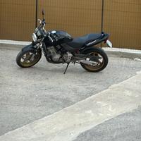 Honda Hornet 600