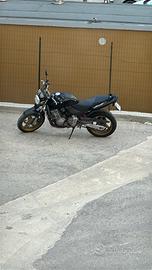 Honda Hornet 600