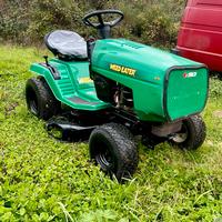 Trattorino tagliaerba con raccoglitore