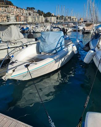 Barca a motore - Fiart Oasi 22