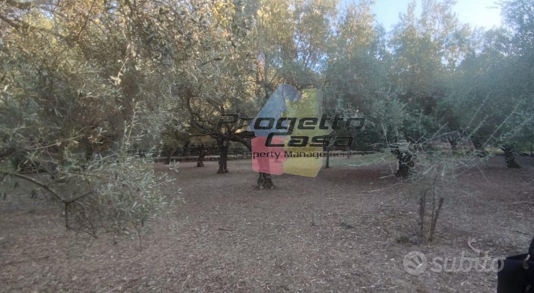 Subito Progetto Casa Property Management Uliveto pianeggiante