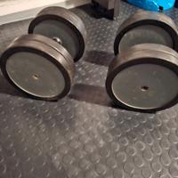 Coppia di manubri da 20kg cadauno