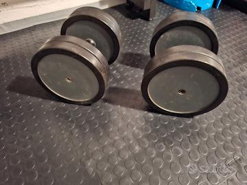 Coppia di manubri da 20kg cadauno