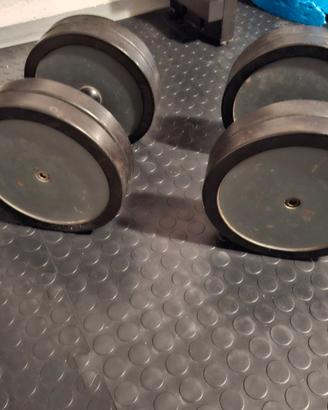 Coppia di manubri da 20kg cadauno