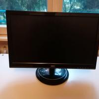 Monitor LED 18,5 pollici