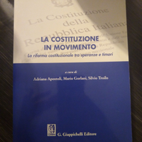 La costituzione in movimento