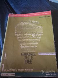 LA MERAVIGLIA DELLE IDEE 1