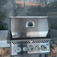 Barbecue napoleon rogue 425