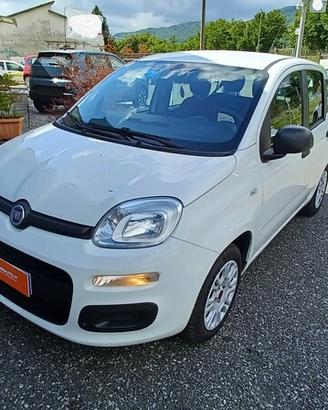 FIAT Panda 3� serie Panda 1.2 Easy