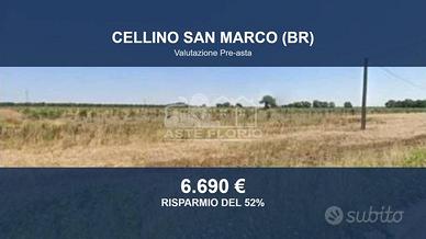 Immobile in asta di 14040 m² a Cellino San Marco
