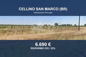 Immobile in asta di 14040 m² a Cellino San Marco
