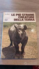 Le più strane creature della terra