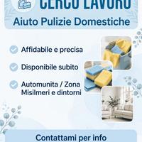 Lavori domestici, pulizie